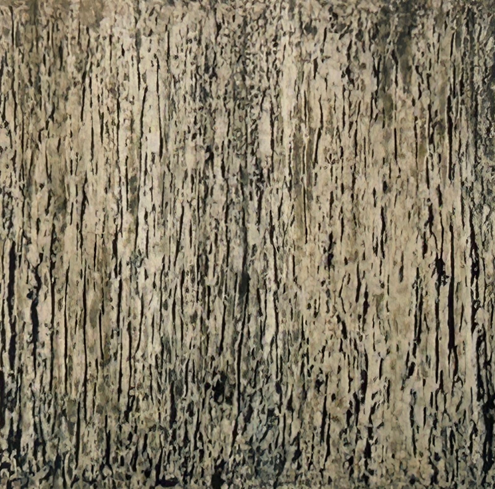 Walls Series 7